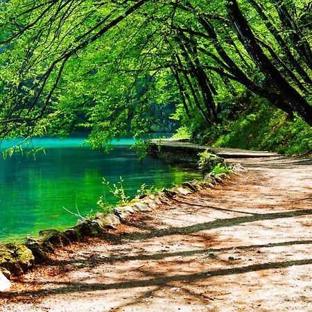 Plitvicka Kuca D - Plitvice Lakes Plitvička Jezera Exteriör bild